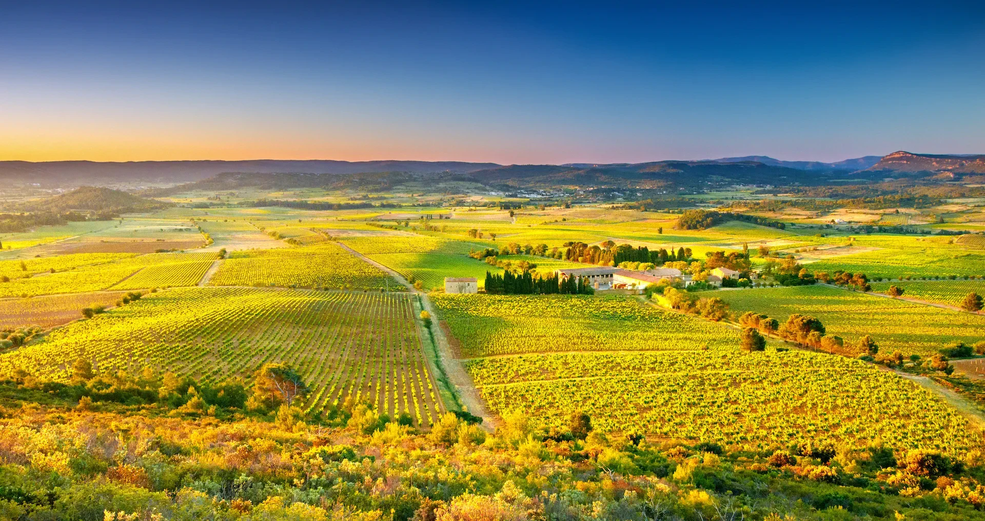 Château Ollieux Romanis