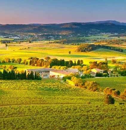 Château Ollieux Romanis