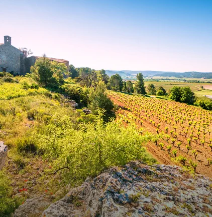 Domaine Pierre Bories