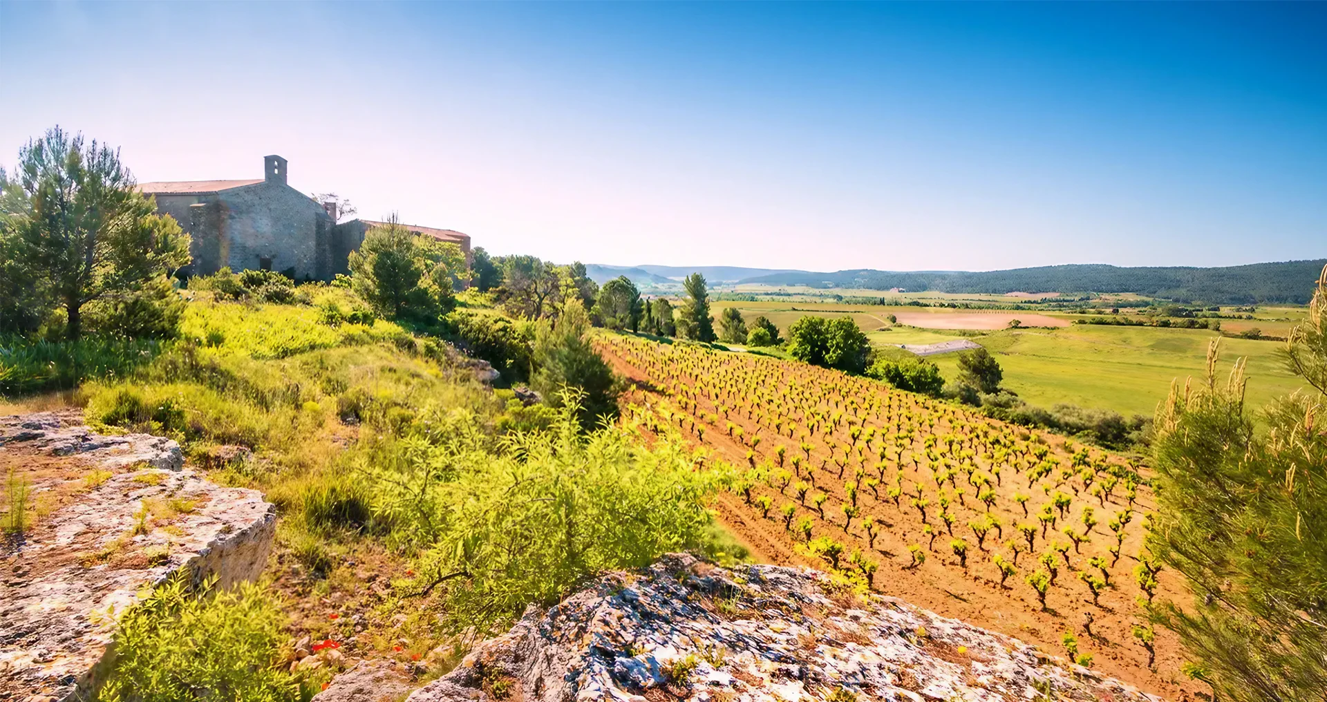 Domaine Pierre Bories
